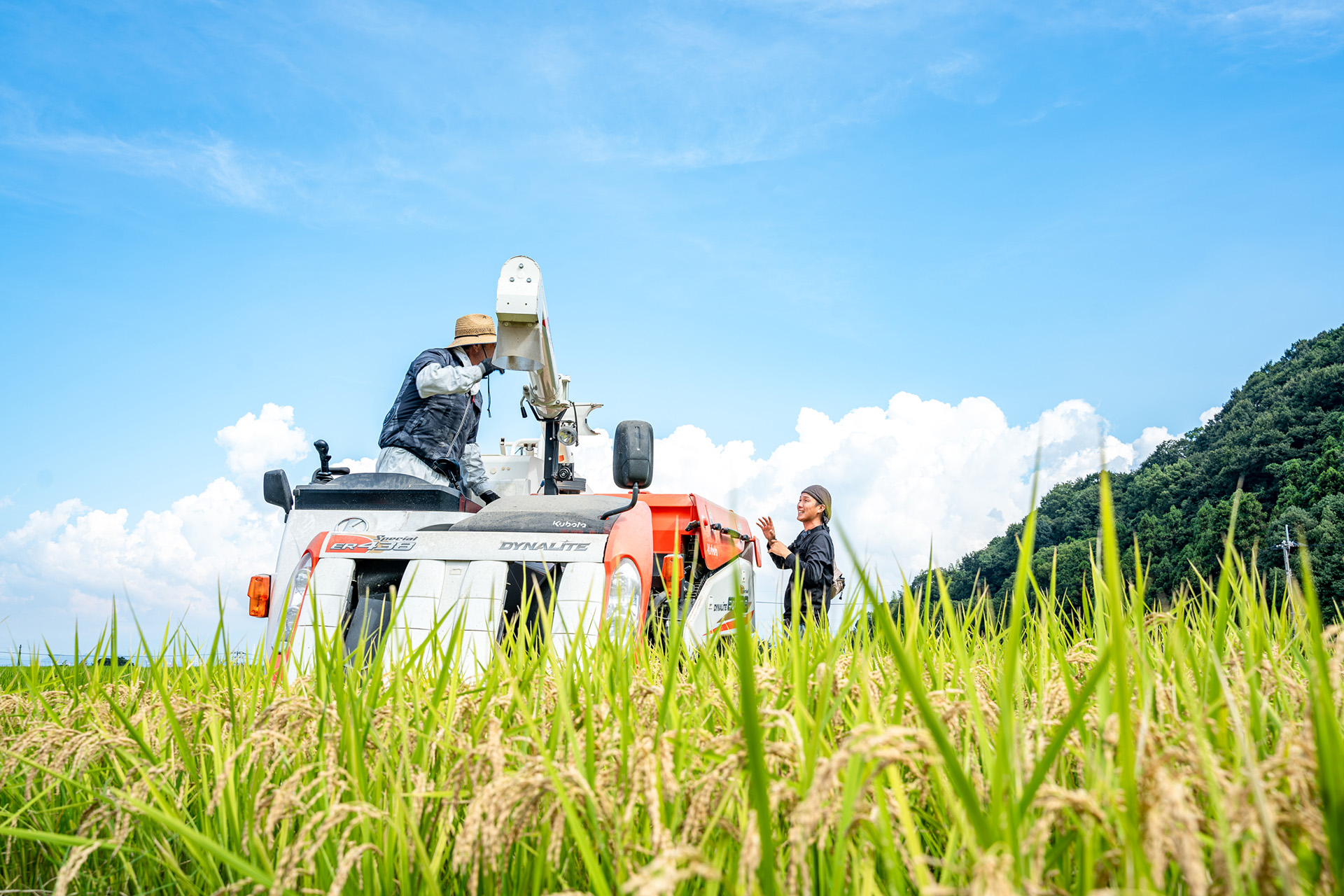 収穫期の田んぼの中で会話する